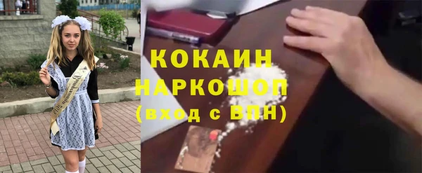 стаф Алзамай