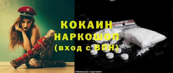 бошки Алексин