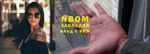 бошки Алексин