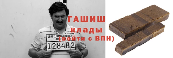 стаф Алзамай