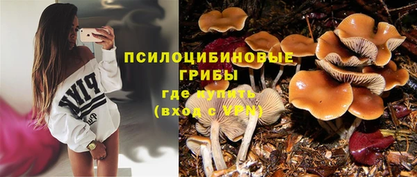бошки Алексин