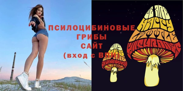 трава Абаза