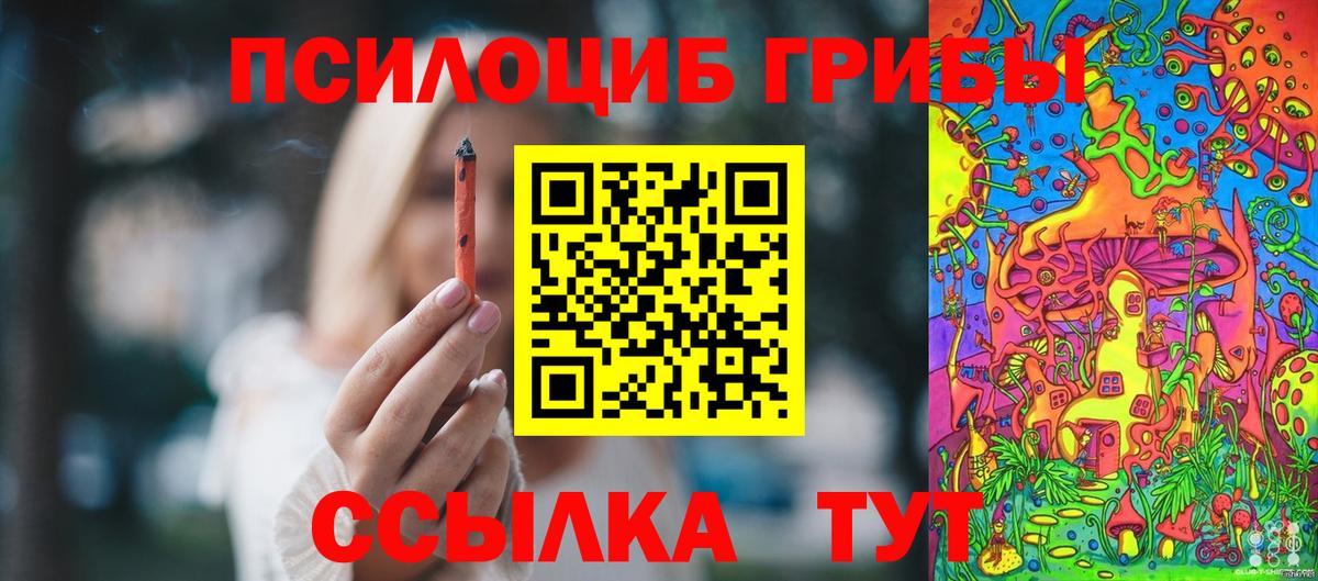 Псилоцибиновые грибы мицелий Урюпинск